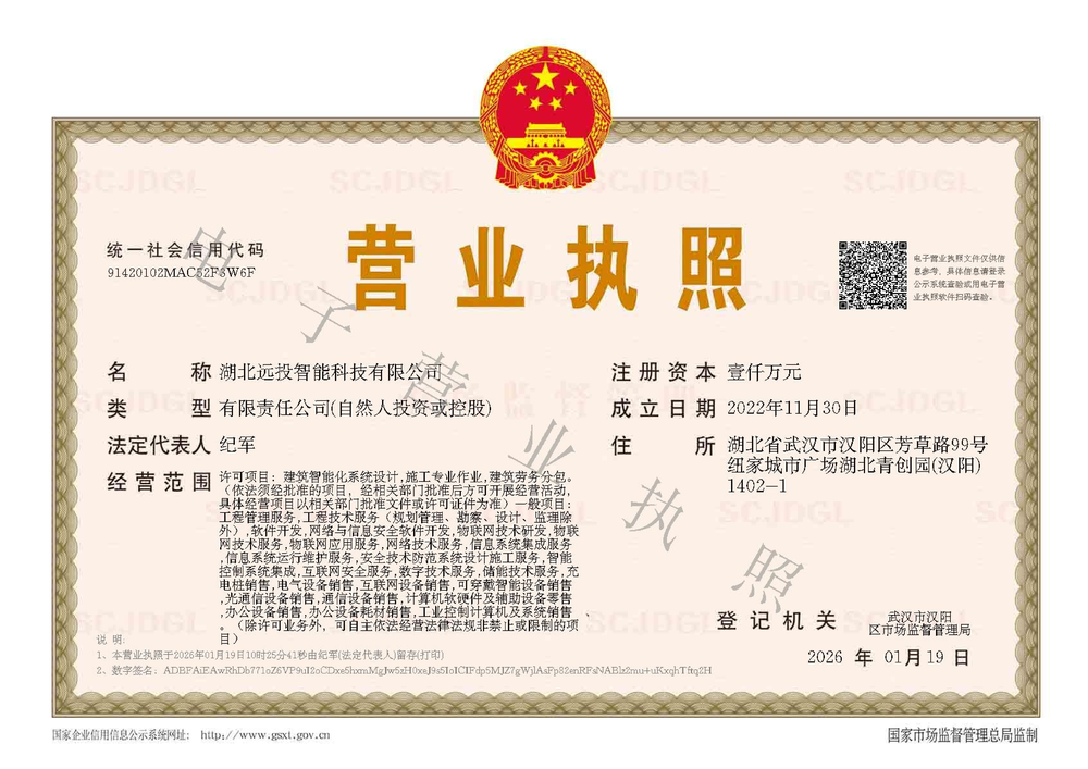远投电子执照